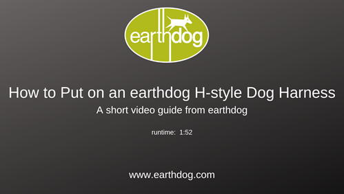 How To Put on an earthdog H-style Dog Harness