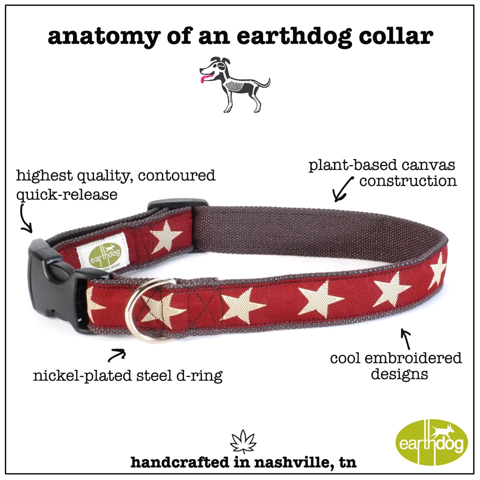 cool dog collars