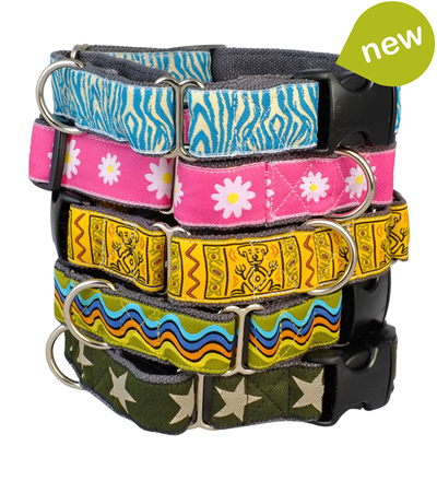 brand new earthdog eco friendly hemp buckle martingale dog collars in five styles