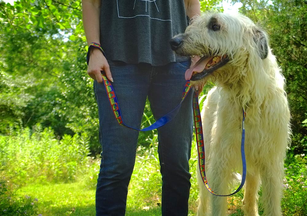 earthdog hemp leash with irish wolfhound
