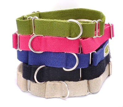 earthdog solid hemp martingale dog collars in a variety of colors