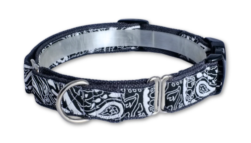 earthdog collar display rounds perfectly showcase a medium owney buckle martingale collar