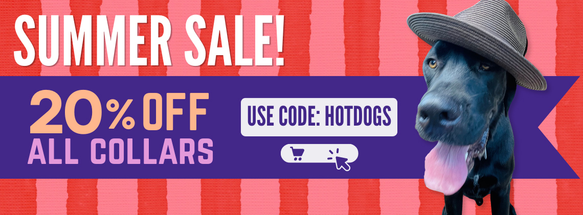 save 20% on collars with code hotdogs